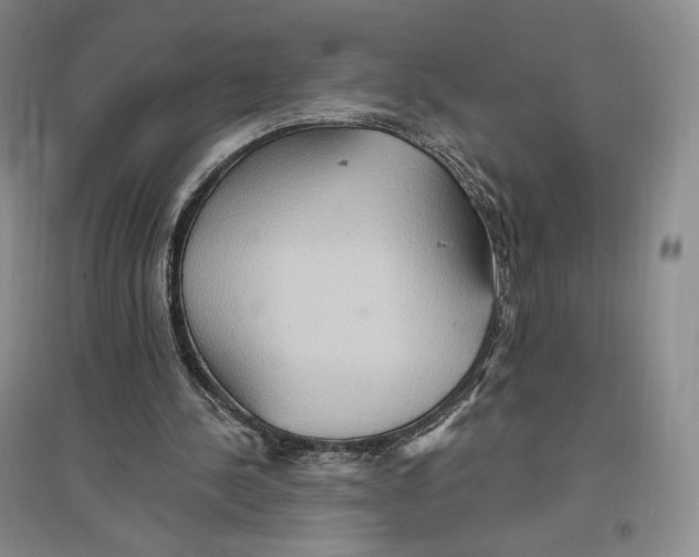 X0000096970244200802291128