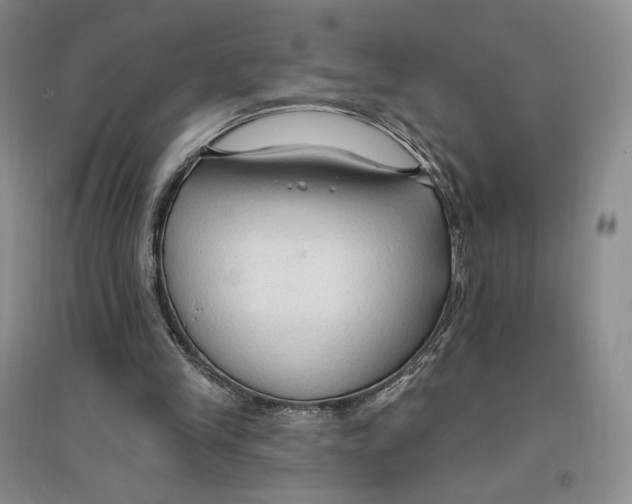 X0000096970245200802291128