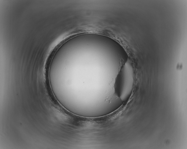 X0000096970246200802291128