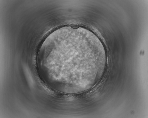 X0000096970249200802291128