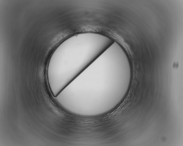 X0000096970250200802291128