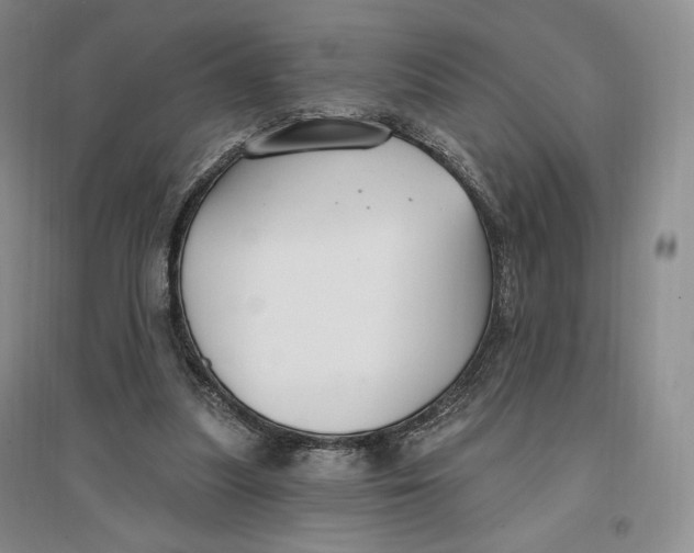 X0000096970251200802291128