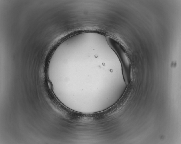 X0000096970252200802291128