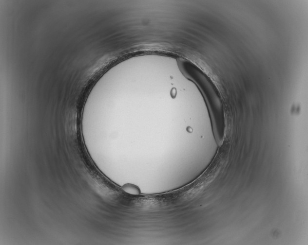 X0000096970253200802291128