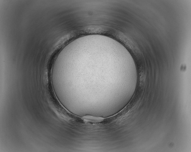 X0000096970254200802291128