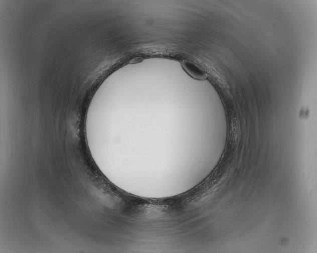 X0000096970255200802291128