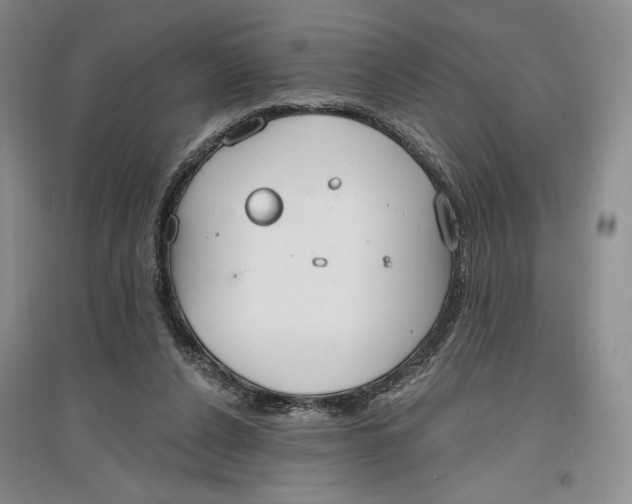 X0000096970256200802291128