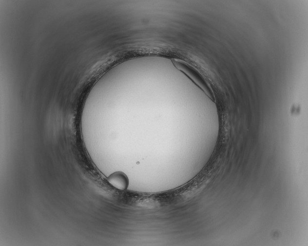 X0000096970258200802291128