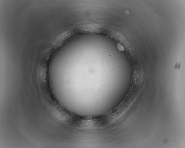 X0000096970259200802291128