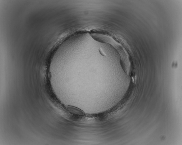 X0000096970260200802291128