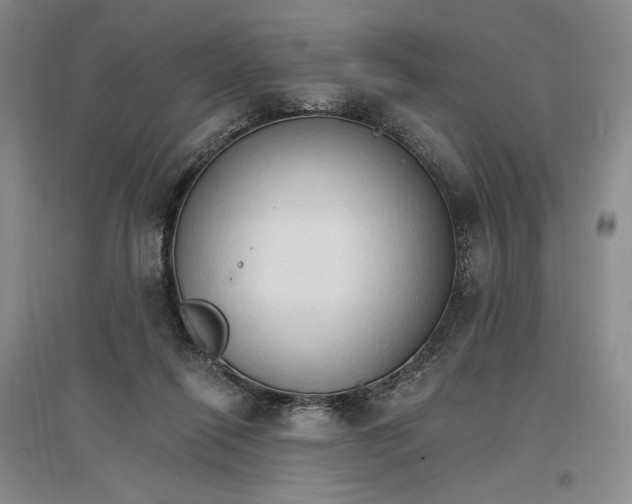 X0000096970262200802291129