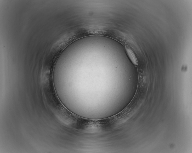 X0000096970263200802291129