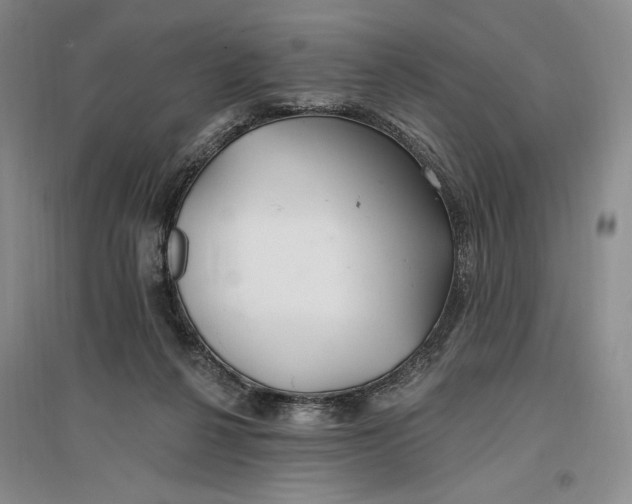 X0000096970264200802291129