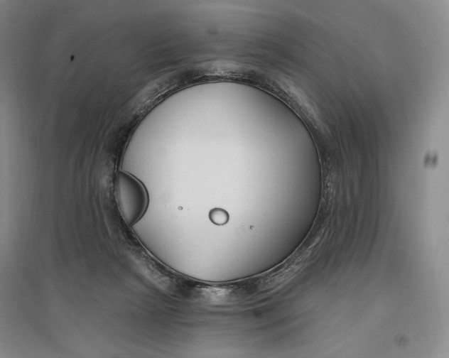 X0000096970265200802291129