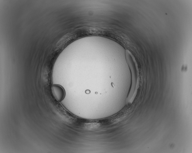 X0000096970266200802291129