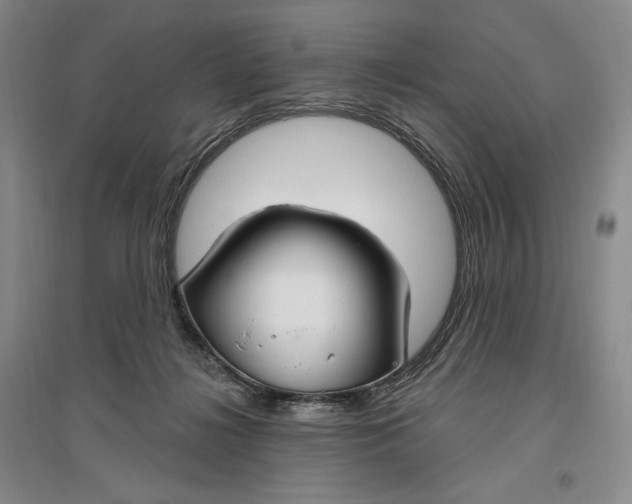 X0000096970268200802291129