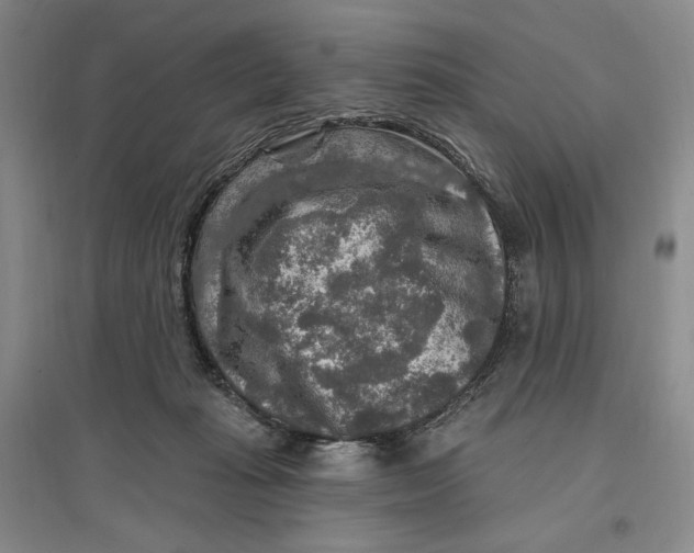 X0000096970269200802291129