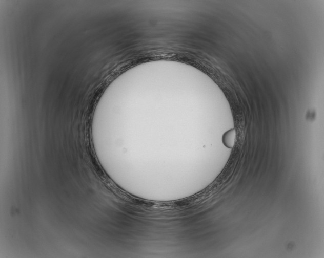 X0000096970270200802291129