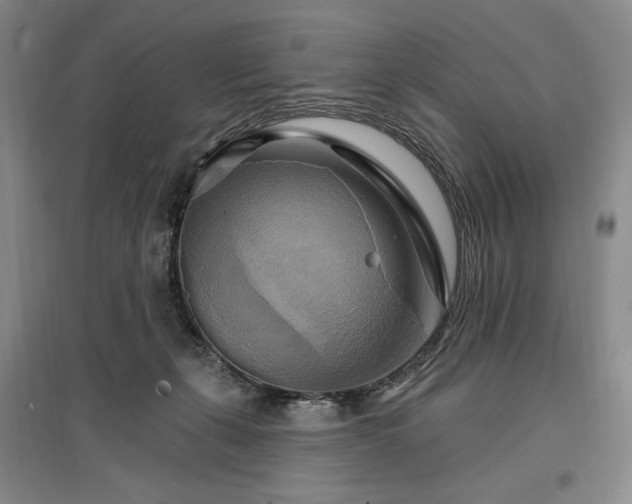 X0000096970271200802291129