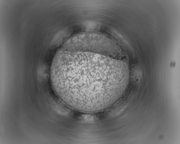 X0000096970272200802291129