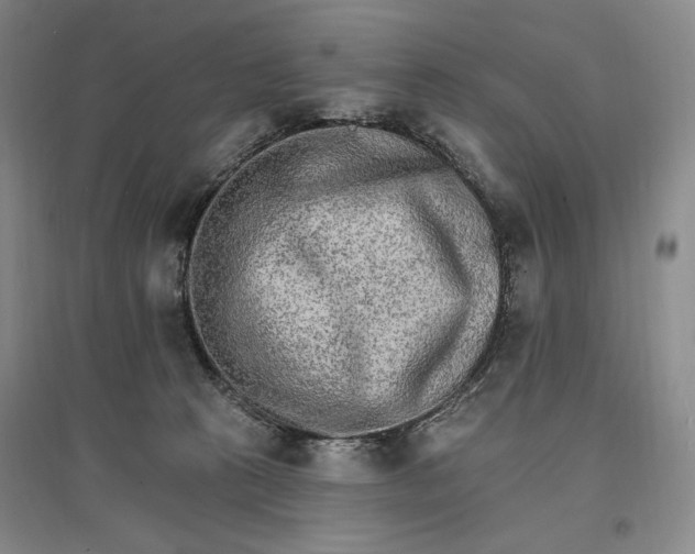 X0000096970273200802291129