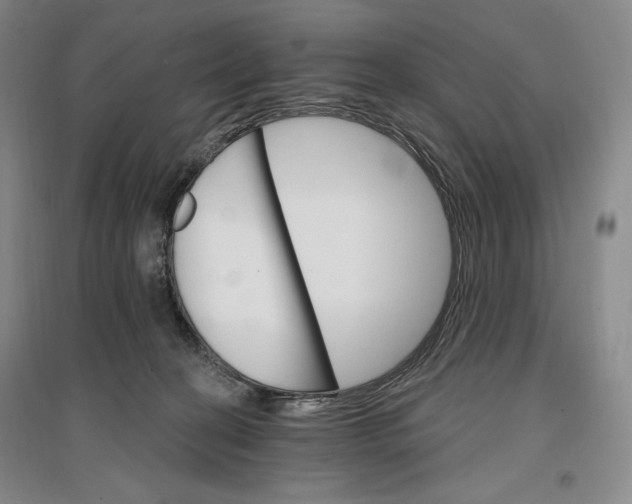 X0000096970274200802291129