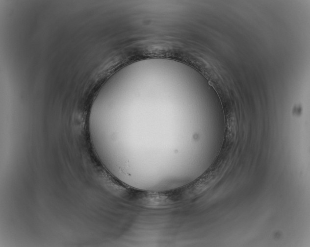 X0000096970278200802291129