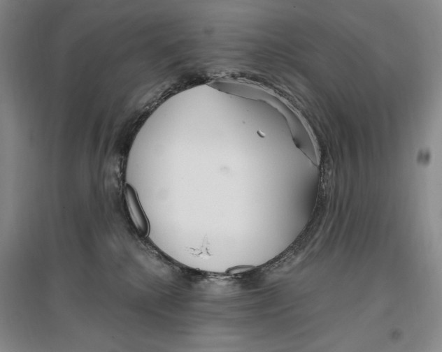 X0000096970280200802291129