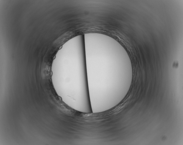 X0000096970281200802291129