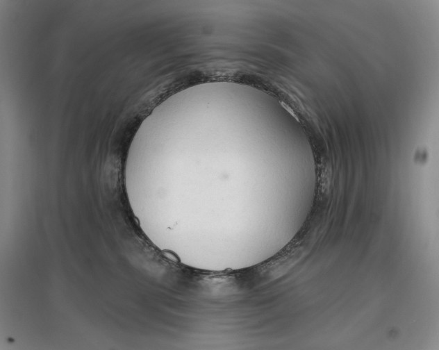 X0000096970283200802291129