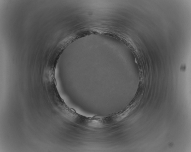 X0000096970285200802291129