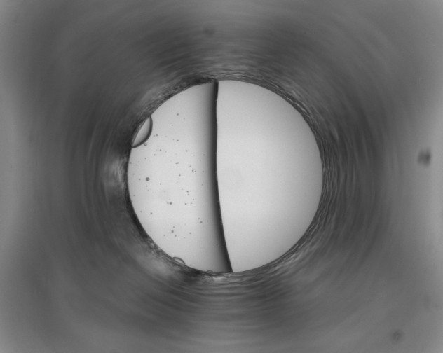 X0000096970286200802291129