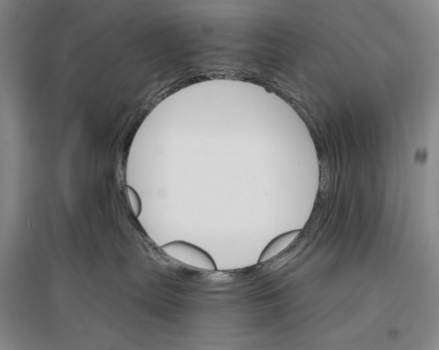 X0000096970287200802291129