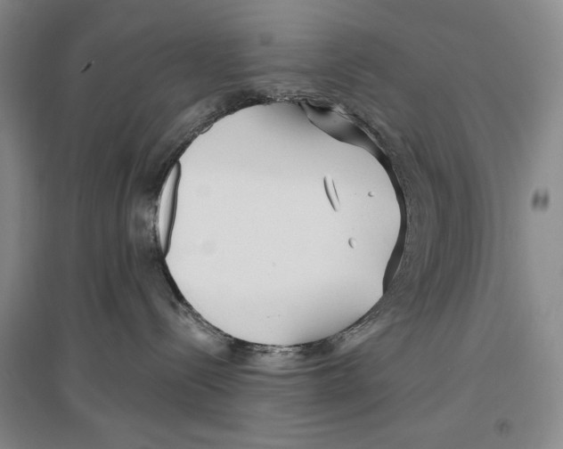 X0000096970288200802291129