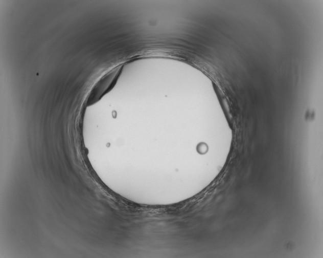 X0000096970289200802291128