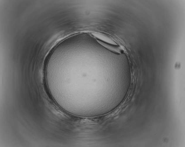 X0000096970290200802291128