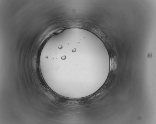 X0000096970291200802291128