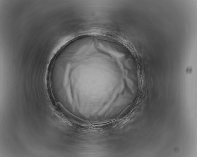 X0000096970292200802291128