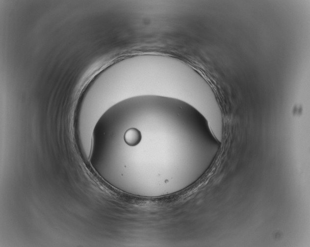 X0000096970293200802291128