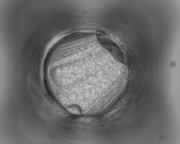 X0000096970294200802291128