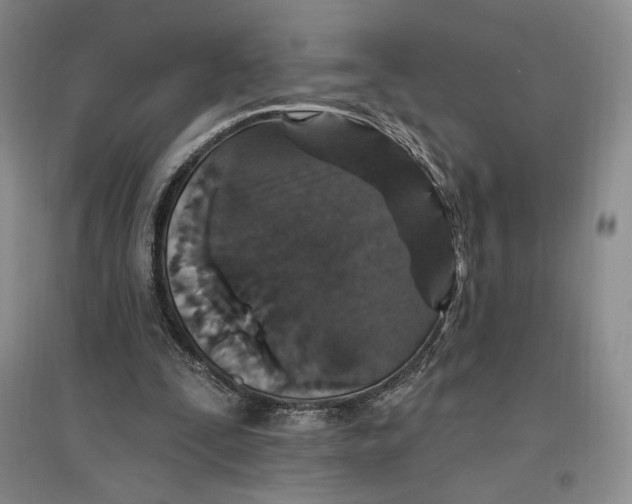 X0000096970295200802291128