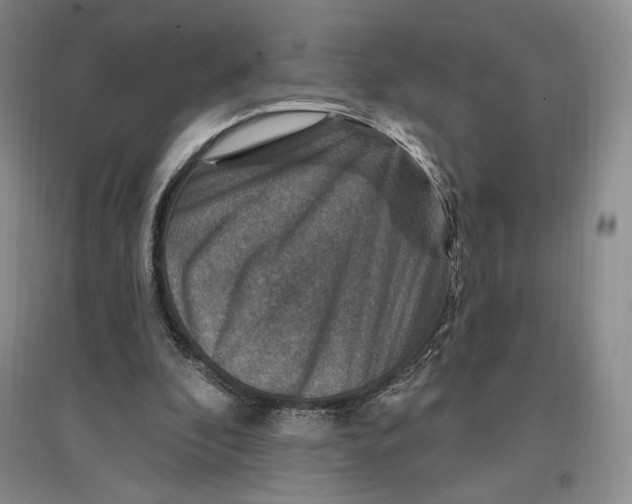 X0000096970296200802291128