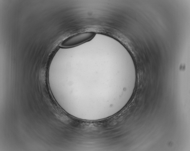 X0000096970297200802291128