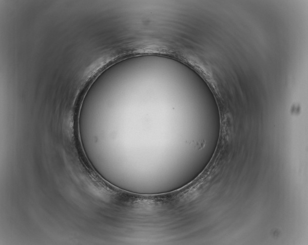 X0000096970298200802291128