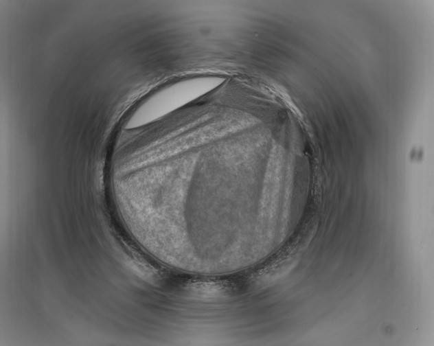 X0000096970299200802291128