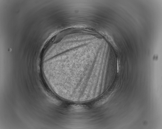 X0000096970300200802291128