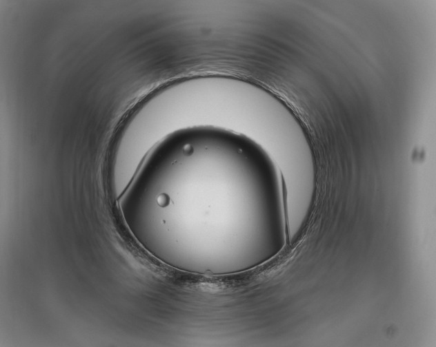 X0000096970302200802291128