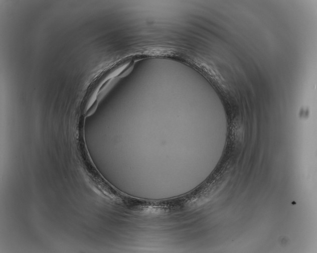 X0000096970303200802291128