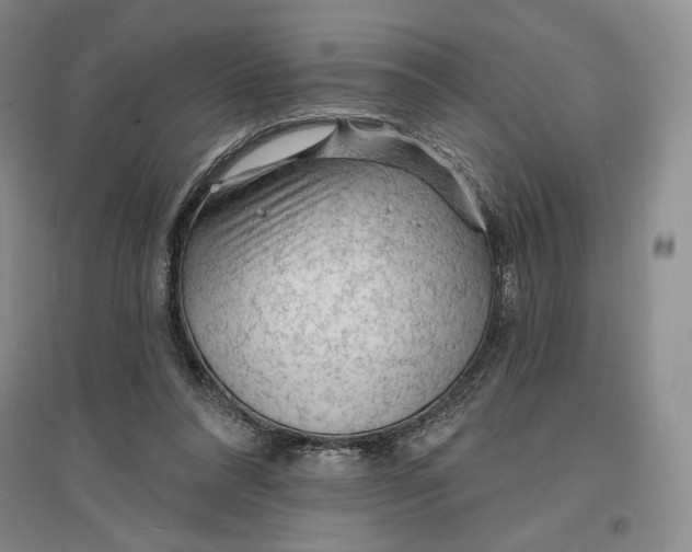 X0000096970304200802291128