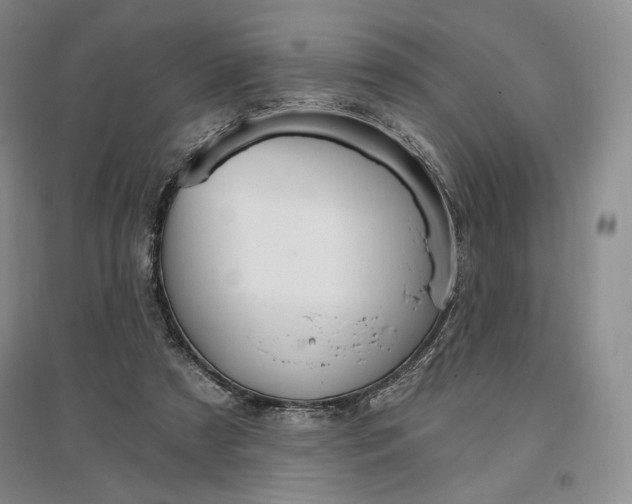 X0000096970305200802291128